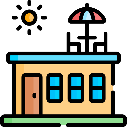 plane icon
